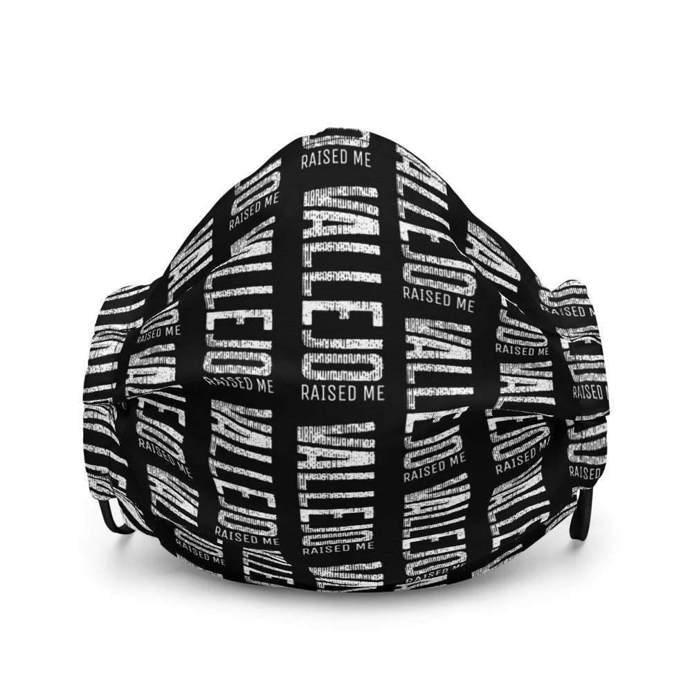 Vallejo Rain Premium face mask