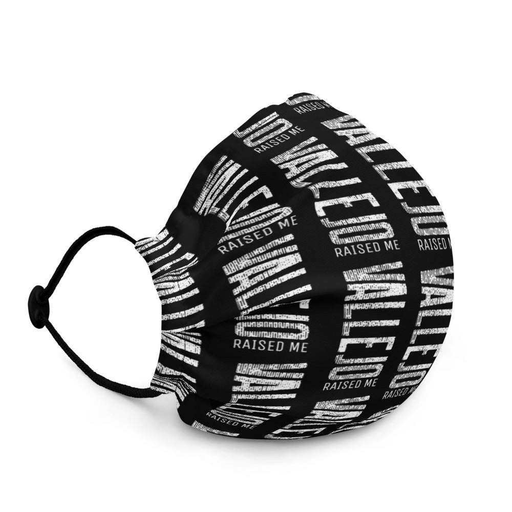 Vallejo Rain Premium face mask